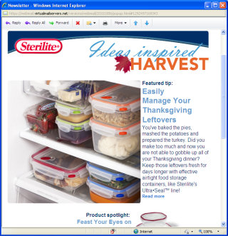 Sterilite's E-Mail Campaign Management System
